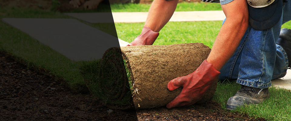 Colorado City Landscapers